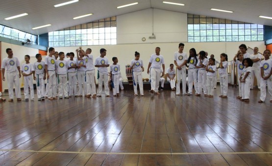 3 curso