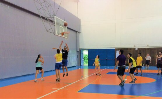 Basquete 1 2019