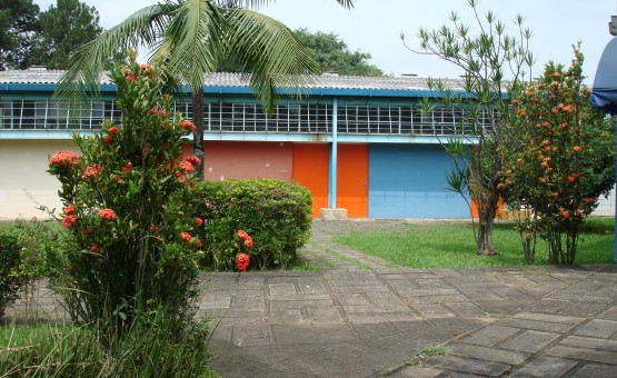 DSC03982